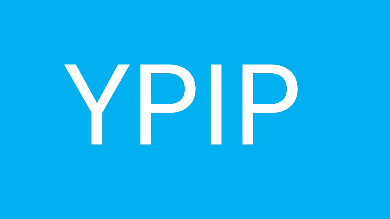 Meet the YPIP team